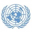 UN EMBLEM